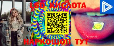 стафф Анжеро-Судженск