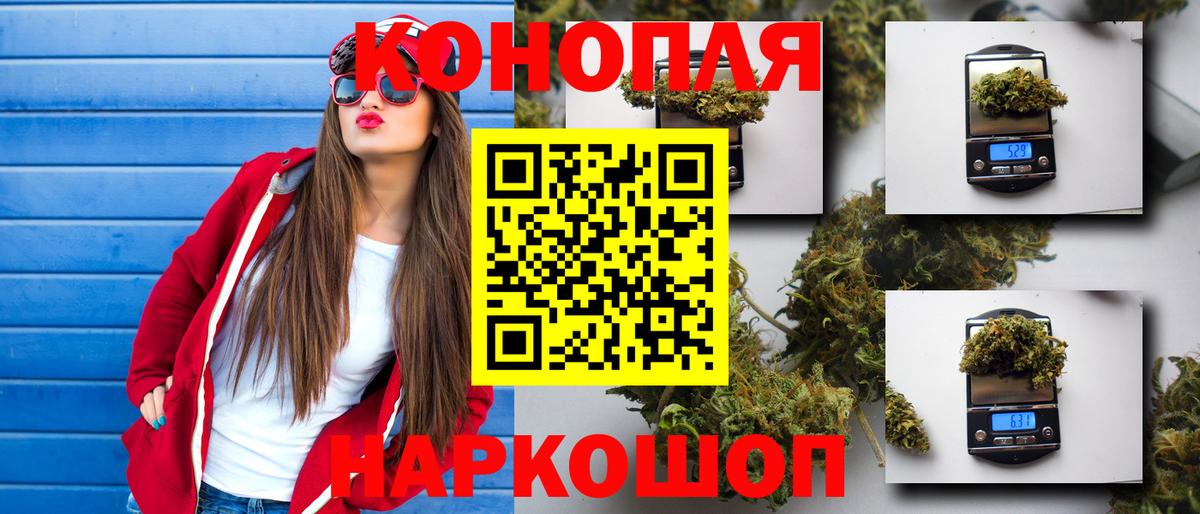 Губаха  Каннабис семена  Бошки Шишки планчик  Вход с VPN 